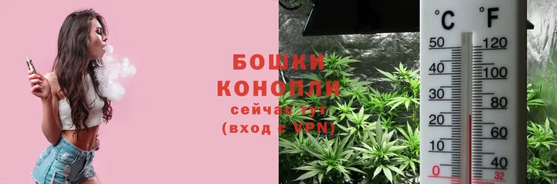 Шишки марихуана Ganja  Мыски 